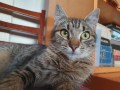 Lilibeth (2)